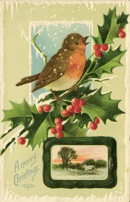 The Robin : A Biography - Stephen Moss